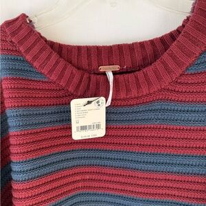 Free People Burgundy and Teal Striped Sweater